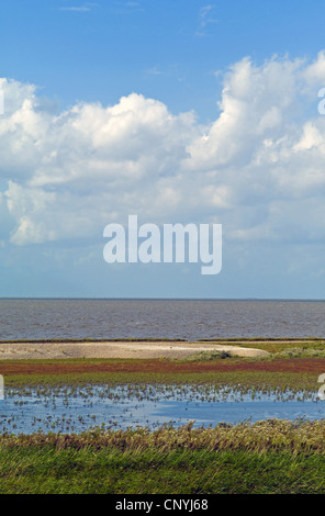 Les marais salés à marée haute à la mer du Nord, l'ALLEMAGNE, Basse-Saxe, Schleswig-Holstein mer des Wadden Parc National Banque D'Images