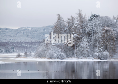 Loch Insh en hiver, Royaume-Uni, Ecosse, le Parc National de Cairngorms Banque D'Images