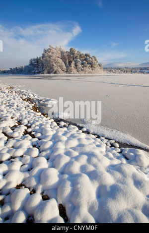 Gelés et la neige-couvertes Loch Insh, Parc National de Cairngorms Banque D'Images