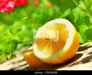 Juteux frais tranche de citron, de fruits du jardin saison des récoltes Banque D'Images