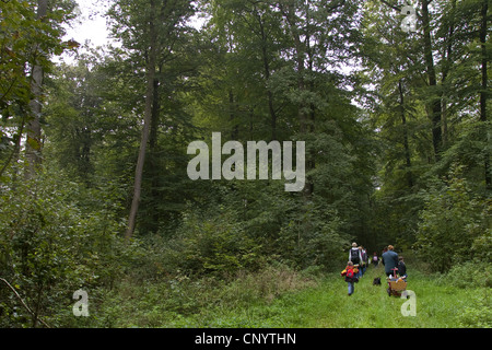 Classe d'école, dans une forêt, Allemagne Banque D'Images