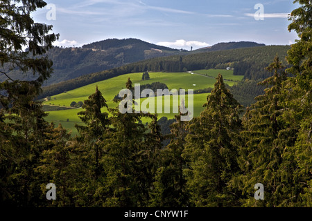 Vue de paysages vallonnés de Bruchhauser Steine, Allemagne, Rhénanie du Nord-Westphalie, Olsberg Banque D'Images