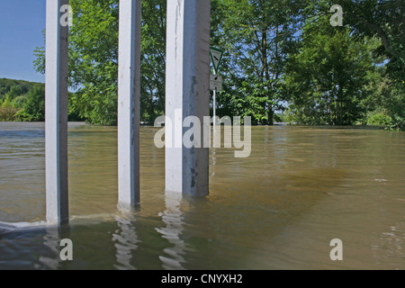 L'inondation de la rivière Ruhr Meadows, à l'eau, de l'Allemagne, en Rhénanie du Nord-Westphalie, région de la Ruhr, à Essen Banque D'Images