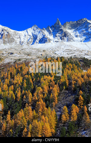 Arollatal vallée avec aiguille de la TSA (3668 m), Suisse, Valais Banque D'Images