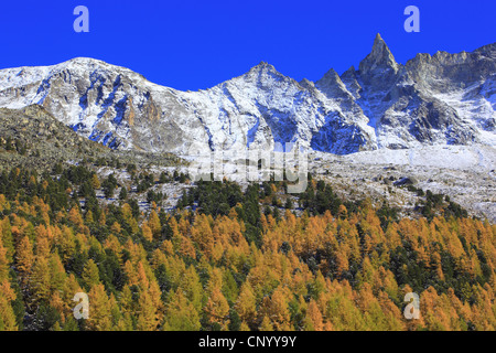 Arollatal vallée avec aiguille de la TSA (3668 m), Suisse, Valais Banque D'Images