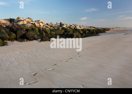 Brise-vagues sur la dune de la plage nord, l'Allemagne, Helgoland Duene Banque D'Images