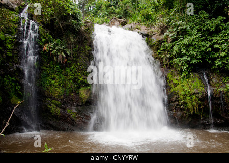 Cascade, Tanzanie, Marangu Banque D'Images