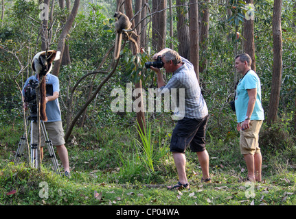 Martin Clunes photographier un lémurien dans Madagascar avec une équipe de tournage de TVI. Vakona Forest Lodge, Andasibe. Banque D'Images