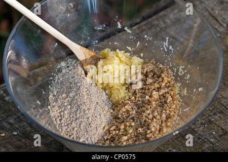 Boy making pesto de noix auto-prélevés et les graines de tournesol, les ingrédients sont mélangés, Allemagne Banque D'Images