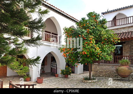 Orange (Citrus sinensis), la fructification orange tree à Minas monastère, Chypre Banque D'Images