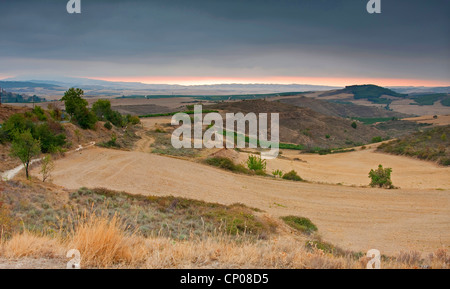 Matin humeur au chemin de Frances à la manière de Torres del Ro à Viana, Espagne, Pays Basque, Navarre Banque D'Images