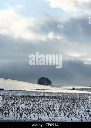 La lumière du soleil sur la mise en commun des champs de neige dans la distance sur la Marlborough Downs près d'Avebury avec les chaumes de blé au premier plan. Banque D'Images