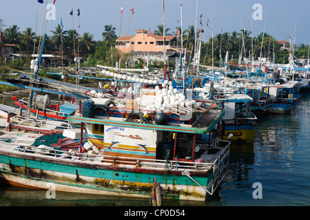 Bateaux de pêche au port, Negombo, Sri Lanka Banque D'Images