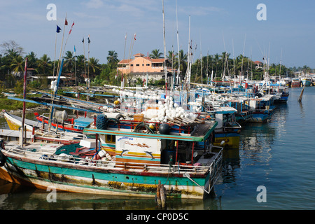 Bateaux de pêche au port, Negombo, Sri Lanka Banque D'Images