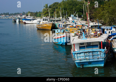 Bateaux de pêche au port, Negombo, Sri Lanka Banque D'Images