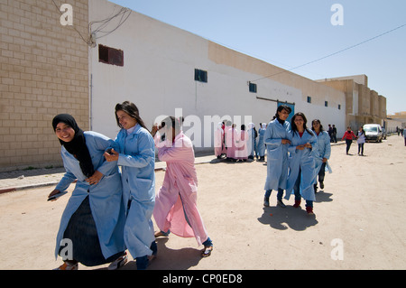 La Tunisie, Sidi Bouzid : 1 000 femmes travaillent dans l'usine de production allemande Steiff jouets pour animaux pour l'Allemagne et d'autres pays Banque D'Images