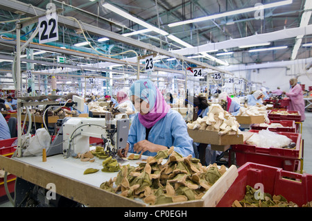 La Tunisie, Sidi Bouzid : 1 000 femmes travaillent dans l'usine de production allemande Steiff jouets pour animaux pour l'Allemagne et d'autres pays Banque D'Images