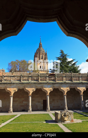 Université de Salamanque - Patio de las escuelas Menores Banque D'Images