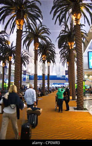 Palmiers dans la salle d'embarquement à l'aéroport international de Dubaï, Dubaï, Émirats Arabes Unis Banque D'Images