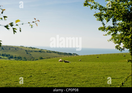 Collines dans le détroit de Douvres Banque D'Images