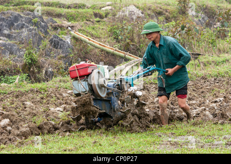 Un jeune agriculteur labourant son champ à l'aide d'un rotoculteur à essence au lieu d'un bœuf charrue. Banque D'Images