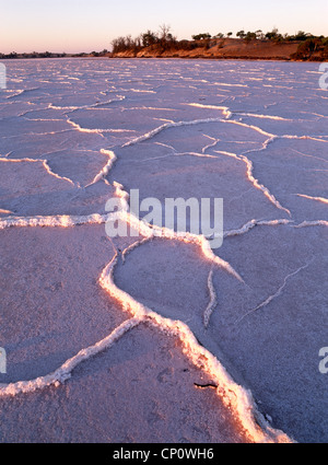 Les modèles de sel dans lit asséché du lac Crosbie au ''Murray' Lacs-Sunset National Park' Victoria Australie Banque D'Images