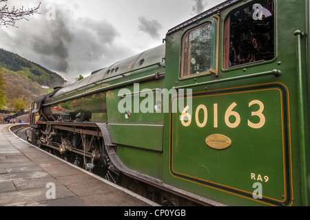 Une tornade de fer de Llangollen1 Classe n° 60163 du Pacifique au poivre à LLangollen. Banque D'Images