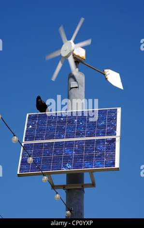 Un corbeau heureusement assis sous une éolienne, perché sur panneau solaire, Paignton, Devon pouvoirs d'énergie renouvelable la pendaison lumières. Banque D'Images