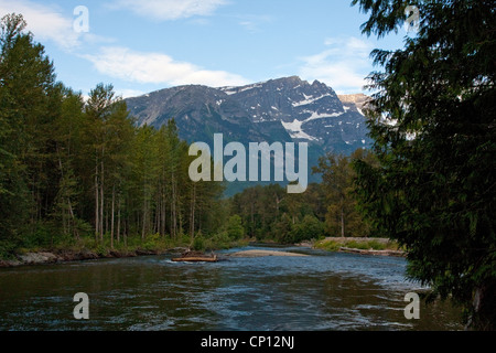 Un tronçon de la rivière Atnarko près de Bella Coola dans le parc provincial Tweedsmuir, British Columbia, Canada en août. Banque D'Images