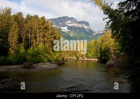 Un tronçon de la rivière Atnarko près de Bella Coola dans le parc provincial Tweedsmuir, British Columbia, Canada en août. Banque D'Images