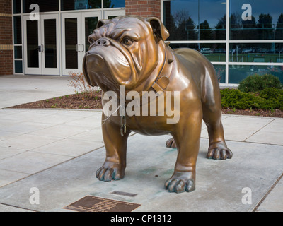 1568, la mascotte de basket-ball 'bulldog' Zag Banque D'Images