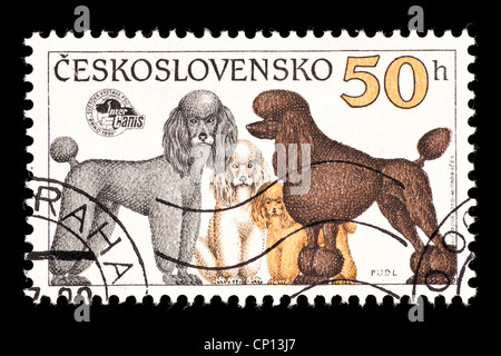 Timbre-poste de la Tchécoslovaquie illustrant les caniches Banque D'Images