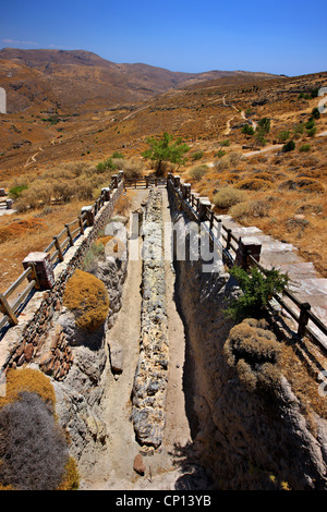 Un arbre pétrifié dans la forêt pétrifiée près de Sigri village, l'île de Lesvos, Grèce. Banque D'Images