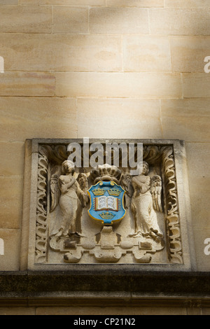 Anges sculptés, des écoles de protection de portefeuille Quadrangle, Bodleian Library, Oxford Angleterre Banque D'Images