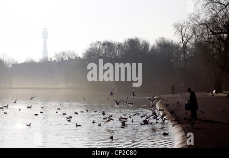 Tôt le matin dans la région de Regent's Park, Londres Banque D'Images