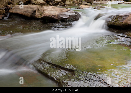 Cascade dans les monts Ozark de l'Arkansas - USA Banque D'Images