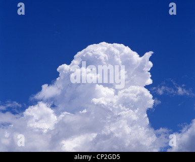 Cumulus blanc et bleu ciel, Berkshire, Angleterre, Royaume-Uni
