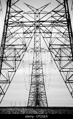 Les lignes de transport d'électricité marchant à travers le paysage, Victoria Australie Banque D'Images