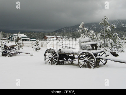 Un vieux buckboard wagon est recouverte de neige juste après une tempête de neige à Flagstaff, Arizona, USA. Banque D'Images