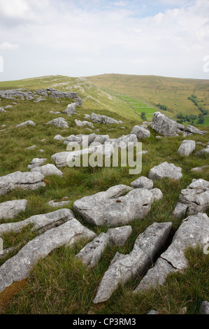 Roches sur Malham dale yorkshire Angleterre Banque D'Images