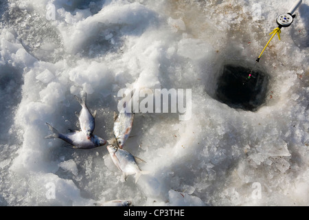 Pêche sur glace. Au sud de la Russie Banque D'Images