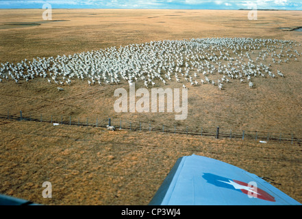 Chili - La Terre de Feu. L'élevage de moutons dans les environs de Porvenir. Vue aérienne. Banque D'Images