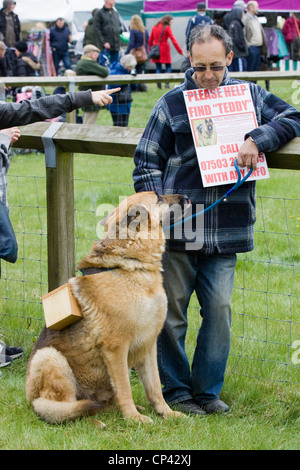 Les détectives à la recherche d'animal chiens manquant à un spectacle dans le Northamptonshire en Angleterre Banque D'Images