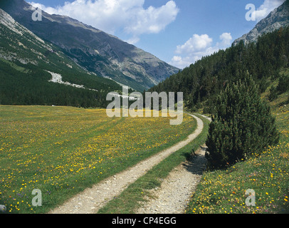 Lombardia - Parc National du Stelvio - Valle del Gallo (So), paysage. Banque D'Images