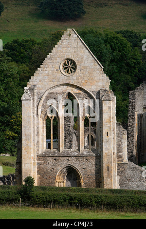 Royaume-uni - Angleterre - Pays de Galles - Llangollen. Ruines de l'abbaye Valle Crucis, une abbaye cistercienne, fondée en 1201, détail Banque D'Images