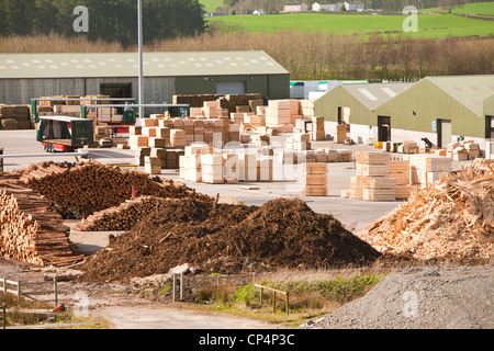 En bois, à côté de la Stevens Croft power station de biocarburants à Lockerbie, Écosse, Royaume-Uni. Banque D'Images