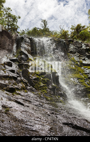 Chutes d'eau de fée au milieu d'arbres et ciel nuageux dans la région de Henderson Valley, Auckland, Nouvelle-Zélande Banque D'Images