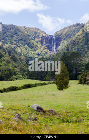 Wairere Falls Cascade et forêt environnante dans Wairere Falls Scenic Reserve, Gordon, Waikato, Nouvelle-Zélande, Océanie Banque D'Images