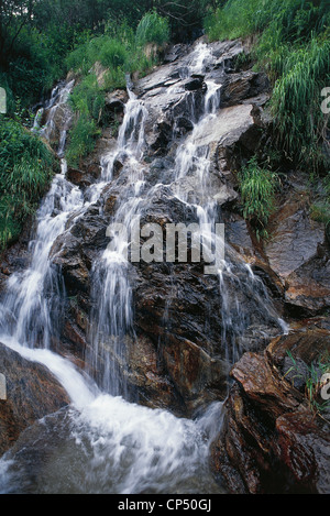 Piémont - Alta Valle di gesso. Chute d'eau. Banque D'Images