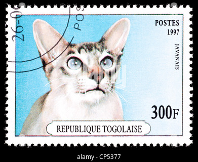 Timbre-poste du Togo représentant un chat jawanais. Banque D'Images